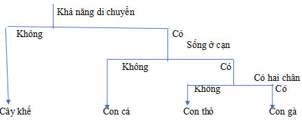 Vẽ sơ đồ khóa lưỡng phân