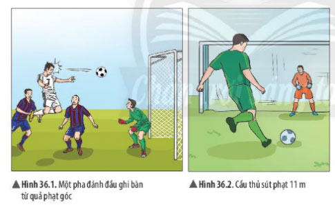 Quan sát hình 36.1, 36.2