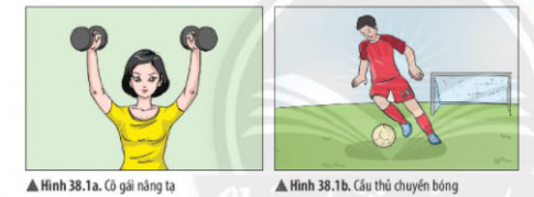 Hình 38.1a và 38.1b