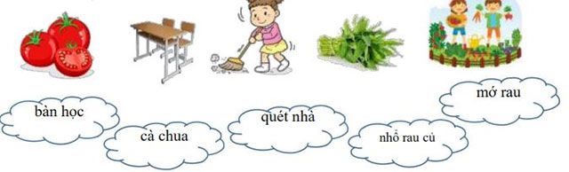 Nối từ ngữ với hình