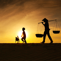 Phân tích bài thơ Về thăm mẹ (Dàn ý + 9 mẫu)