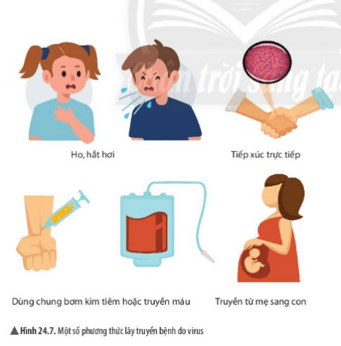 Hình 24.7