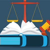 Bộ đề thi giữa học kì 1 môn Giáo dục kinh tế và Pháp luật 12 năm 2025 - 2026 (Sách mới)