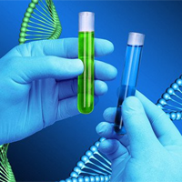 Công thức tính ADN