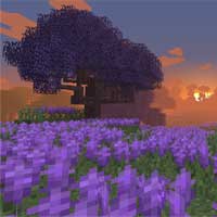 Cách khiến Minecraft đẹp hơn mà không cần tới shader