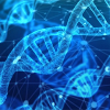 🖼️