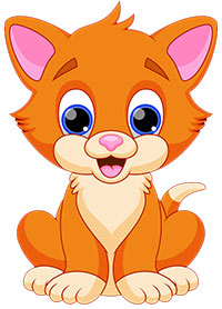 Look at the picture and write