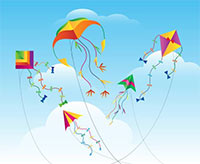 Answer these following questions