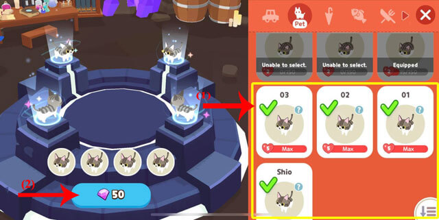 Chọn 4 loại thú cưng