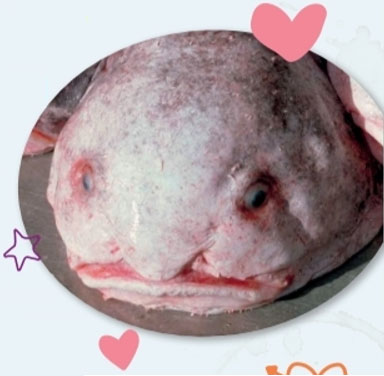 Check the meanings of the words in blue in sentences 1-3