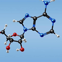 Cấu trúc và chức năng của ATP