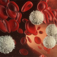 Phân biệt miễn dịch thể dịch và miễn dịch tế bào