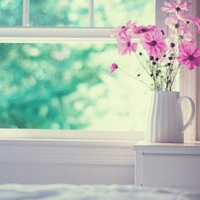 Phân tích văn bản Vừa nhắm mắt vừa mở cửa sổ (9 mẫu)