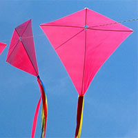 Toán lớp 4 Bài 66: Hình thoi