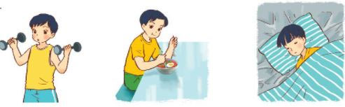 Quan sát hình ảnh