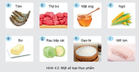 Hình 4.2