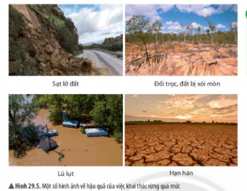 Hình 29.5