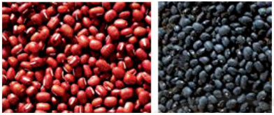 Trò chơi “Cộng đậu đỏ, đậu đen”