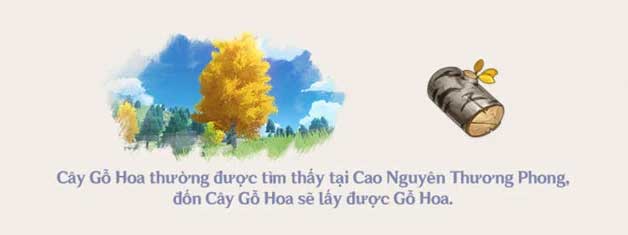 Gỗ hoa trong Genshin Impact