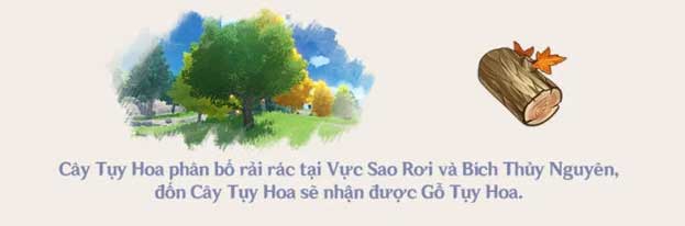 Gỗ Tụy Hoa Genshin Impact