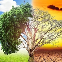 Tiếng Anh 11 Unit 6: Getting started