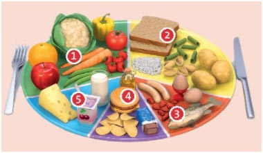 Look at the picture of the dinner plate