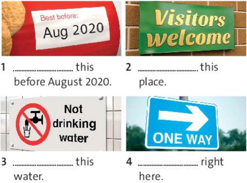 Complete the sentences