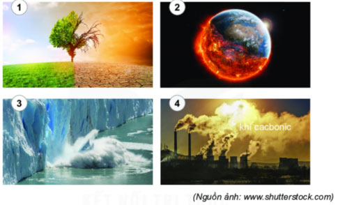 Biến đổi khí hậu