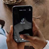 TOP công cụ tải video TikTok không logo giống SnapTik