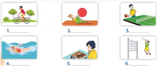 Bài 3