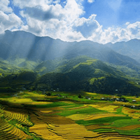 Viết 4 - 5 câu kể những điều em biết về đất nước và con người Việt Nam