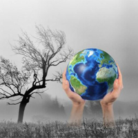 Dàn ý nghị luận về biến đổi khí hậu (5 mẫu)