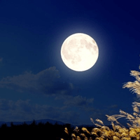 Bài thơ Ngắm trăng