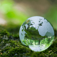 Văn mẫu lớp 7: Chứng minh bảo vệ môi trường thiên nhiên là bảo vệ cuộc sống của con người