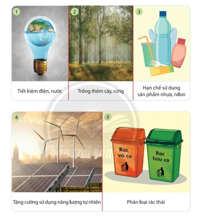 Biến đổi khí hậu