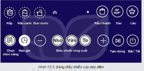 Hình 13.2