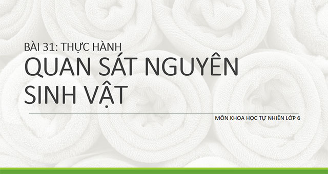 Sản phẩm cuối khóa Mô đun 9 môn Khoa học tự nhiên