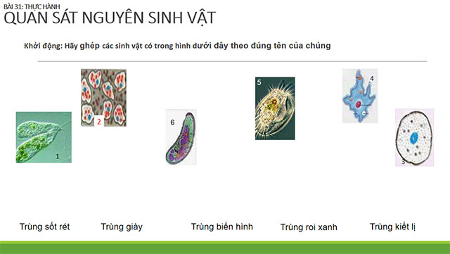 Sản phẩm cuối khóa Mô đun 9 môn Khoa học tự nhiên