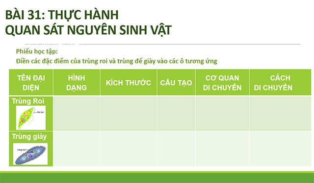 Sản phẩm cuối khóa Mô đun 9 môn Khoa học tự nhiên