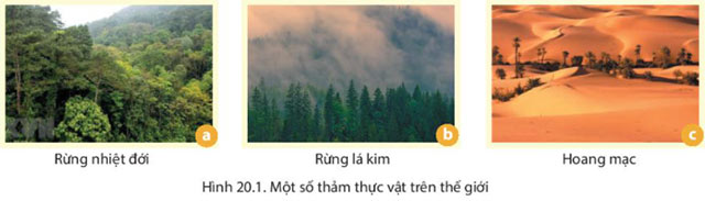Hình 20.1