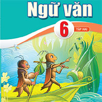 Bộ đề thi học kì 2 môn Ngữ văn 6 năm 2024 - 2025 sách Cánh diều