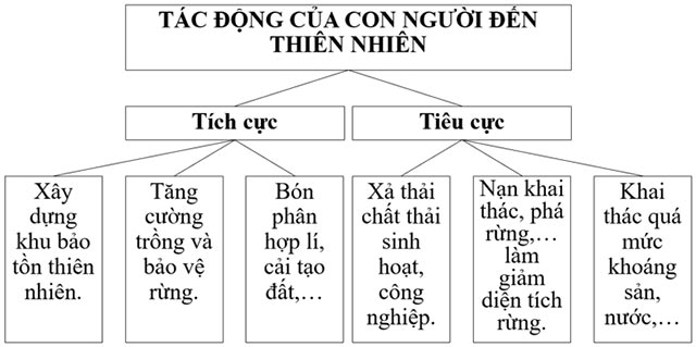 Sơ đồ 1