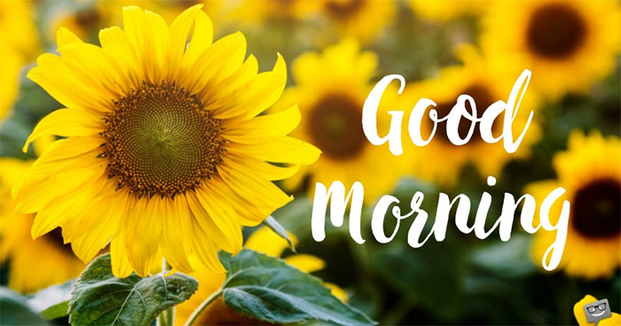 Lời chúc buổi sáng