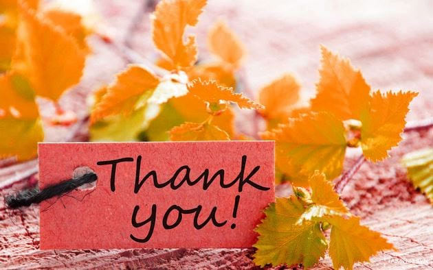 Bộ hình nền PowerPoint Thank You Hình nền PowerPoint kết thúc, cảm ơn đẹp nhất