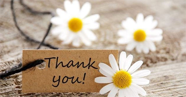 Hình nền PowerPoint Thank You