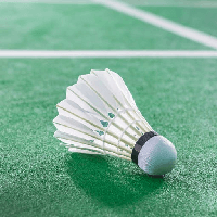 Đoạn văn kể về môn cầu lông (13 mẫu)