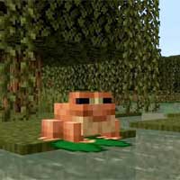 Cách dùng ếch tốt nhất trong Minecraft