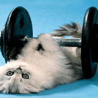 Tập làm văn lớp 3: Đoạn văn kể về môn cử tạ (4 mẫu)