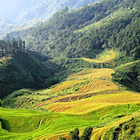 Văn mẫu lớp 9: Phân tích triết lí sống trong Lặng lẽ Sa Pa