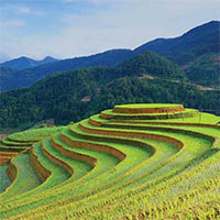 Phân tích vẻ đẹp Anh thanh niên trong Lặng lẽ Sa Pa